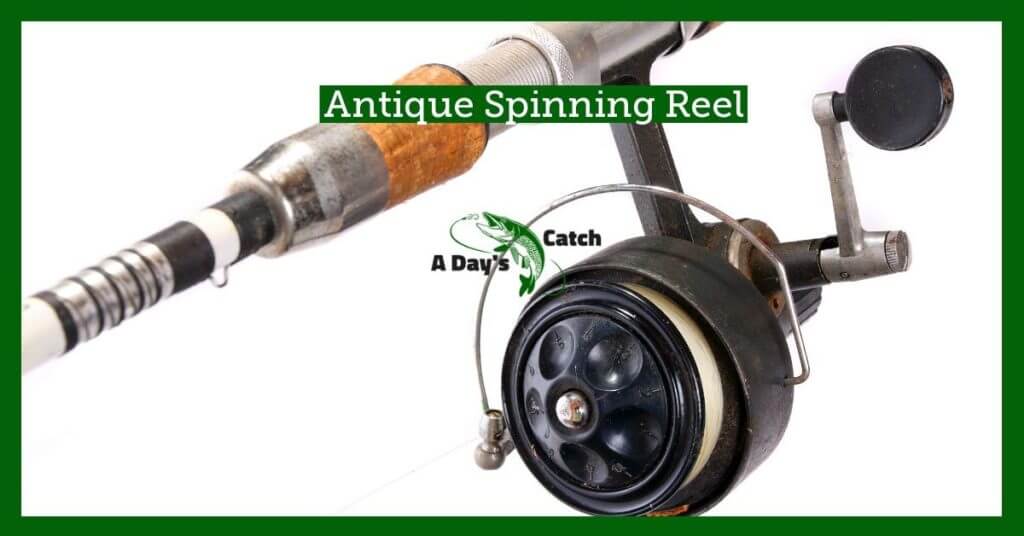 Types of Fishing Reels Guide Differences About Reel Kinds A Day's Catch