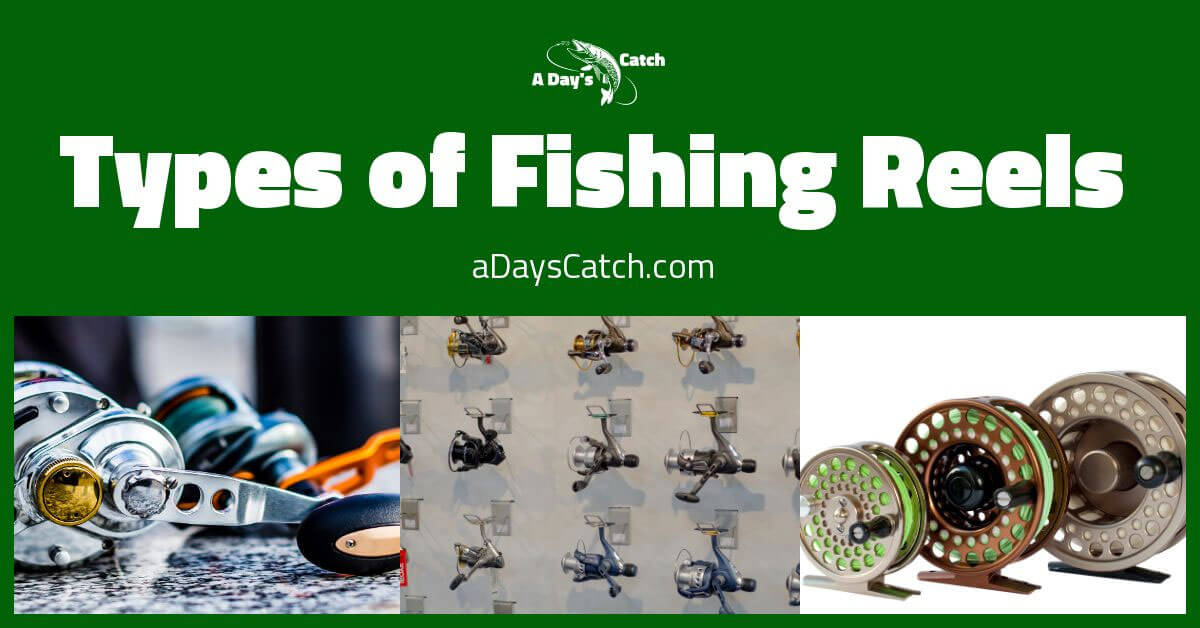 Types of Fishing Reels Guide Differences About Reel Kinds A Day's Catch