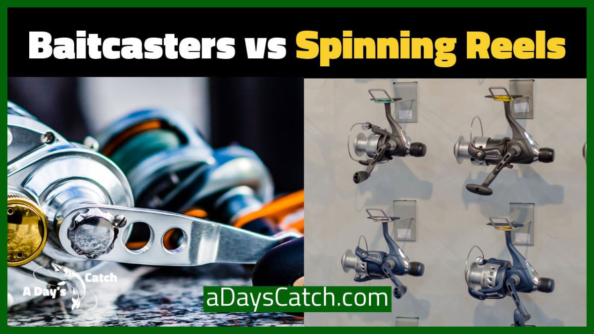 Baitcast vs Spinning Reel Which One For You and Why A Day's Catch