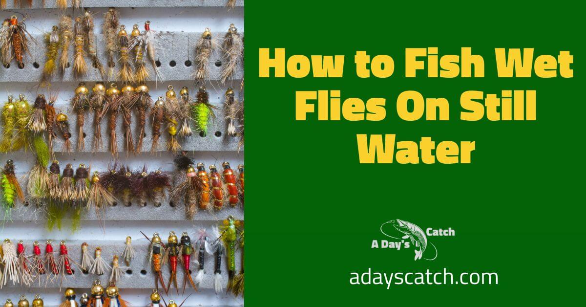 How to Fish Wet Flies On Still Water A Day's Catch