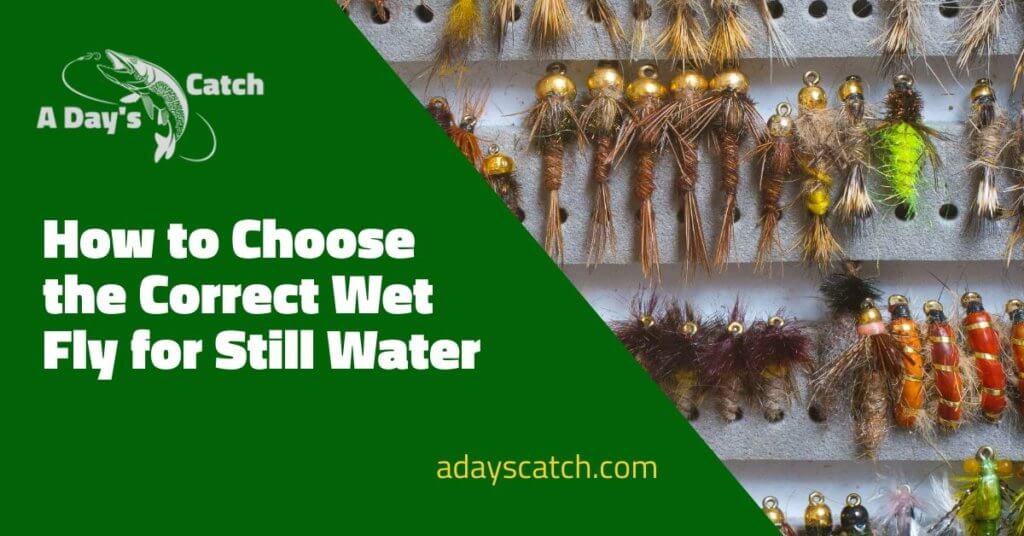 How to Fish Wet Flies On Still Water A Day's Catch