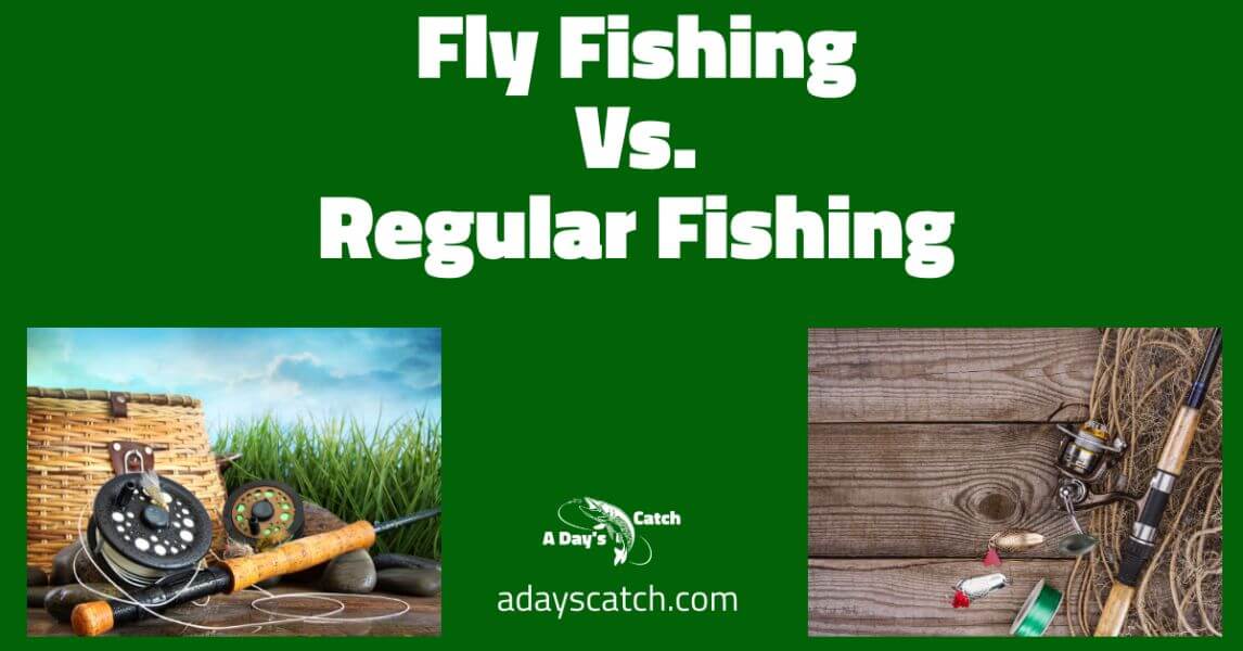 Fly Fishing VS Regular Fishing A Day