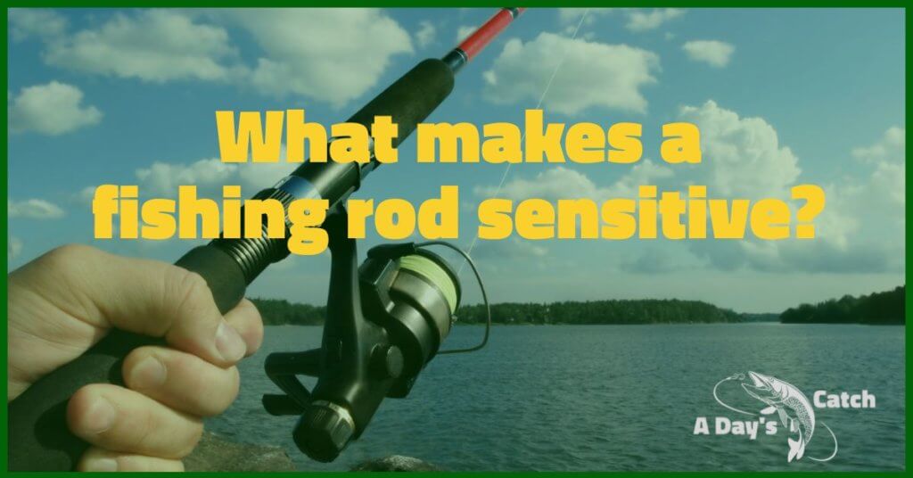 Fishing Rod Sensitivity Test A Day's Catch